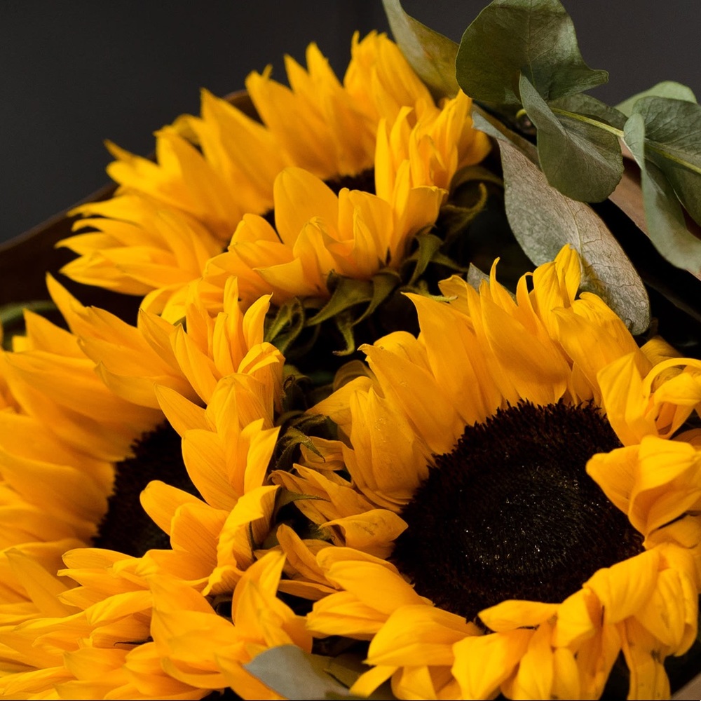 Meet your Posher, Gnava